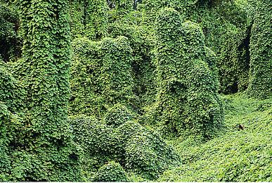 《奥日》系列销量已达1000万 如果初代游戏失败了工作室就会破产