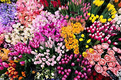 2D平台赛车游戏《霓虹骑士 经典》现已在Steam平台正式推出